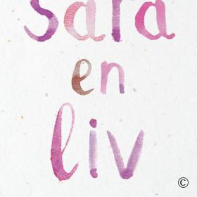 Cover van het boek Sara & Liv