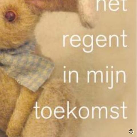 Cover van het boek Het regent in mijn toekomst