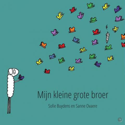 Cover van het boek Mijn kleine grote broer